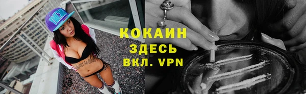 mdpv Краснослободск