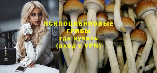 PSILOCYBIN Коряжма