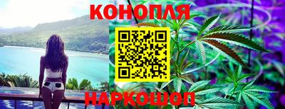 дмт Волгодонск