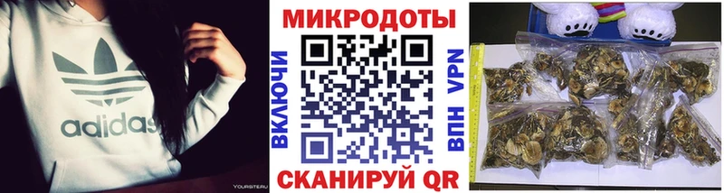 дарнет шоп Иваново Псилоцибиновые грибы ЛСД