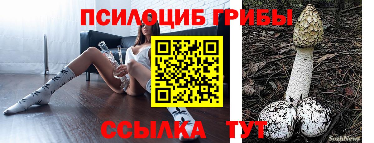 Иваново  Псилоцибиновые грибы ЛСД  Вход с VPN  Псилоцибиновые грибы Psilocybine cubensis 