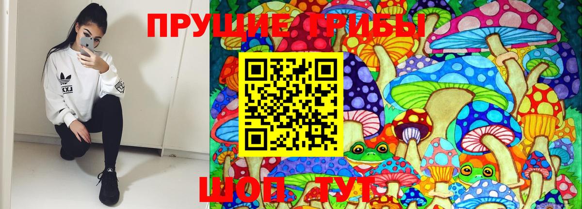 Псилоцибиновые грибы GOLDEN TEACHER Иваново