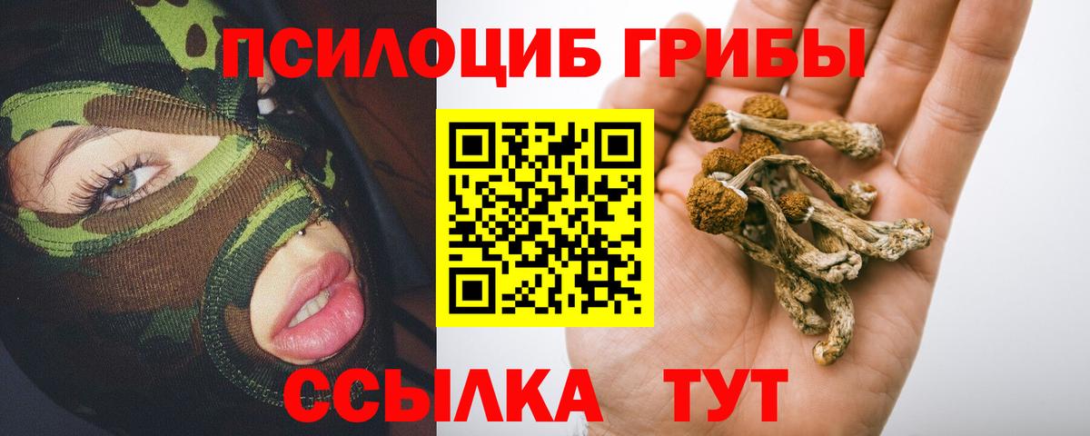 Галлюциногенные грибы Psilocybine cubensis Иваново