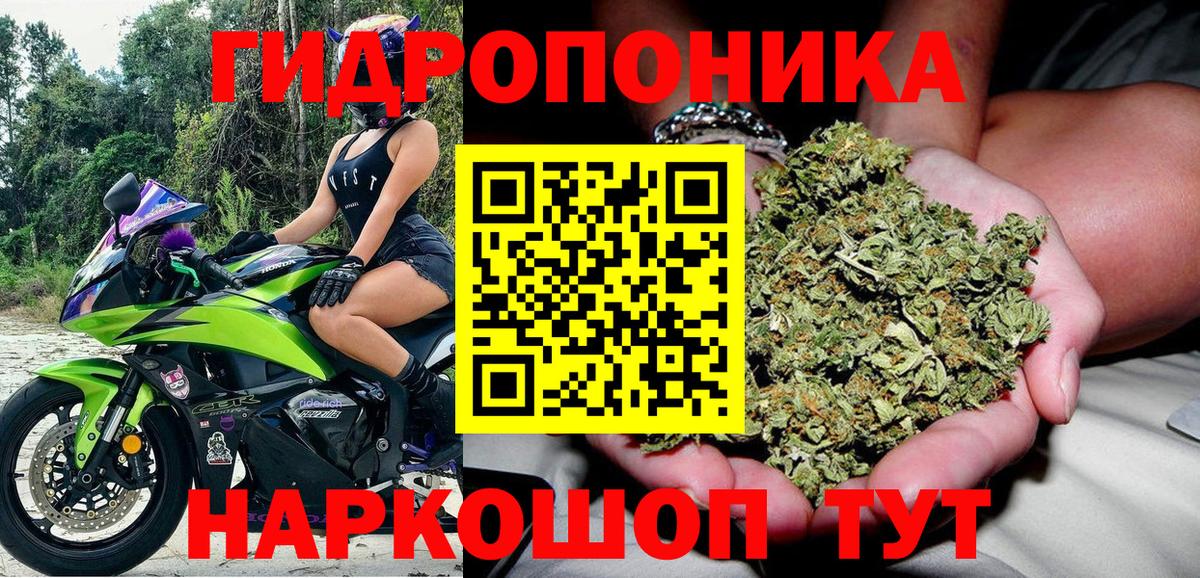 Каннабис индика Иваново